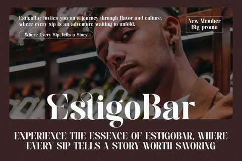 Zeogis - Elegant Serif Font Font studioalmeera 