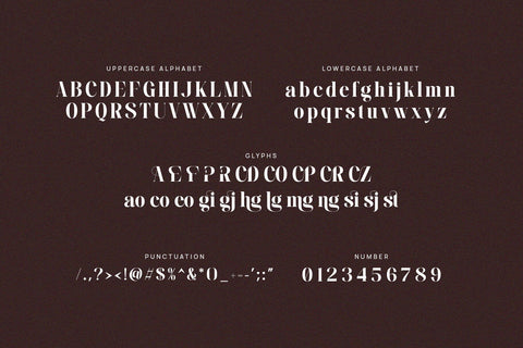 Zeogis - Elegant Serif Font Font studioalmeera 