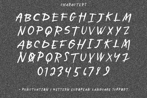Zodiak Display Font Font Beck McCormick 