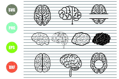 10 Styles Brain SVG, Brain PNG, Brain Clipart, Brain Cut File, Brain Stencil, Brain Cricut Silhouette Cut File, Print At Home SVG Artstoredigital 