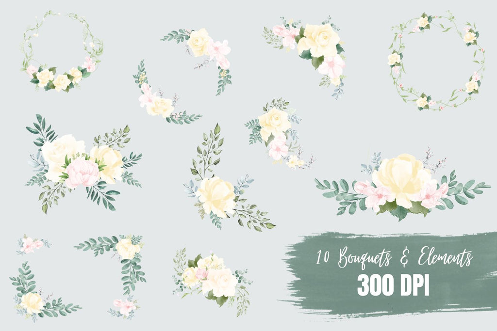 10 White Roses watercolor designs - So Fontsy