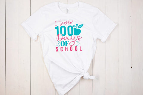 100 Days SVG Design Bundle SVG CraftingStudio 