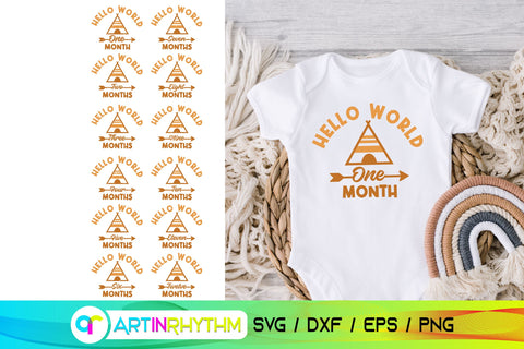 12 Baby Monthly Milestone svg bundle SVG Artinrhythm shop 