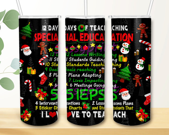 12 Days Of Teaching Special Education 20oz Skinny Tumbler Sublimation Designs Merry Christmas Straight/Tapered Tumbler PNG File Digital Download Sublimation sassyprint 