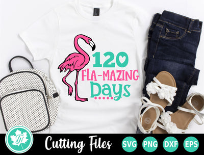 120 Days of School SVG | 120 Flamazing Days SVG TrueNorthImagesCA 