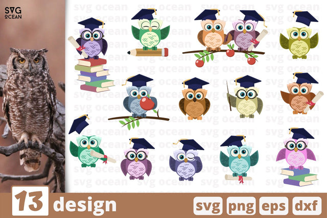 13 Graduation owl designs cricut svg SVG SvgOcean 