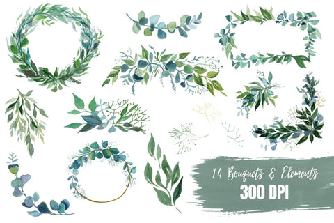14 Eucalyptus watercolor designs SVG SvgOcean 