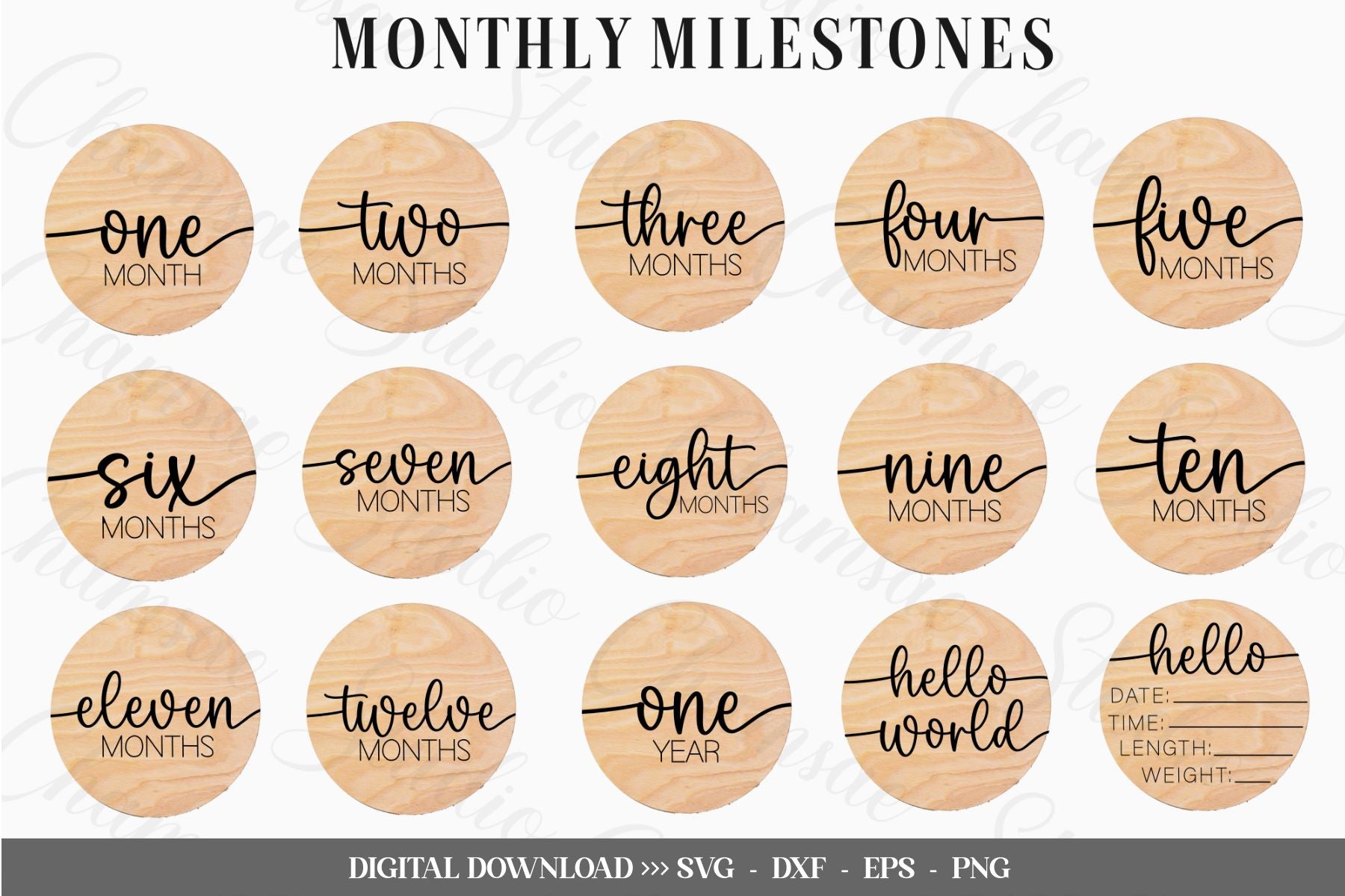 Monthly stickers SVG, Baby Milestone