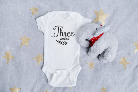 16 Baby Monthly Milestone svg, Baby svg SVG Chamsae Studio 