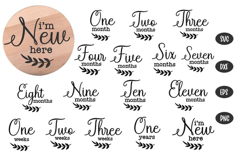 16 Baby Monthly Milestone svg, Baby svg SVG Chamsae Studio 
