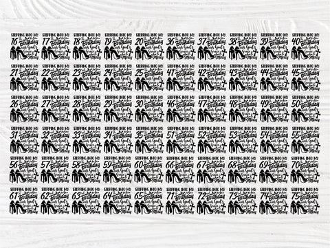 16th to 75th Birthday Girl SVG, High Heel Svg SVG TonisArtStudio 