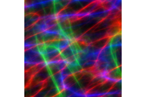 20 Oz Skinny Tumbler Neon Lights Sublimation Design Pack SVG oyonnidesign 