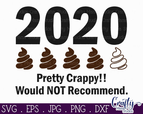2020 Year Review - Sarcastic Svg SVG Crafty Mama Studios 