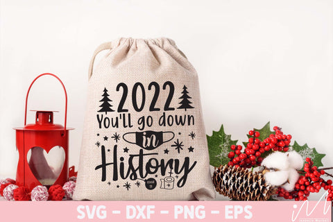 2022 you'll go down in history svg, History of 2022 svg, Memorable year of 2022, Covid vaccine year, Face mask svg, Cricut, wine tumbler svg SVG Isabella Machell 