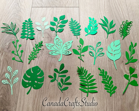 22 SVG Leaf Templates SVG CanadaCraftsStudio 