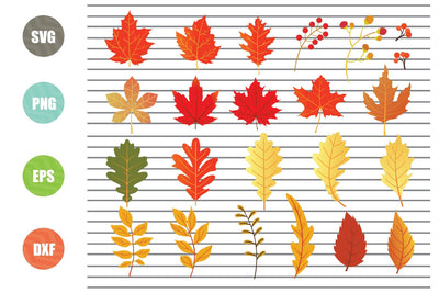 23 Styles Leaf Autumn (2) Svg, Leaf SVG, Leaves SVG, Autumn Svg, Fall Leaves Svg, Fall Svg Files, Fall Svg, Thanksgiving Svg, Maple Leaf Svg, Leaves Cutting Svg SVG Artstoredigital 