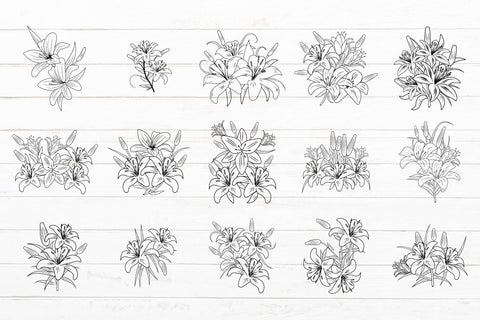 25 Lilium Flower bouquet svg Bundle SVG SmmrDesign 