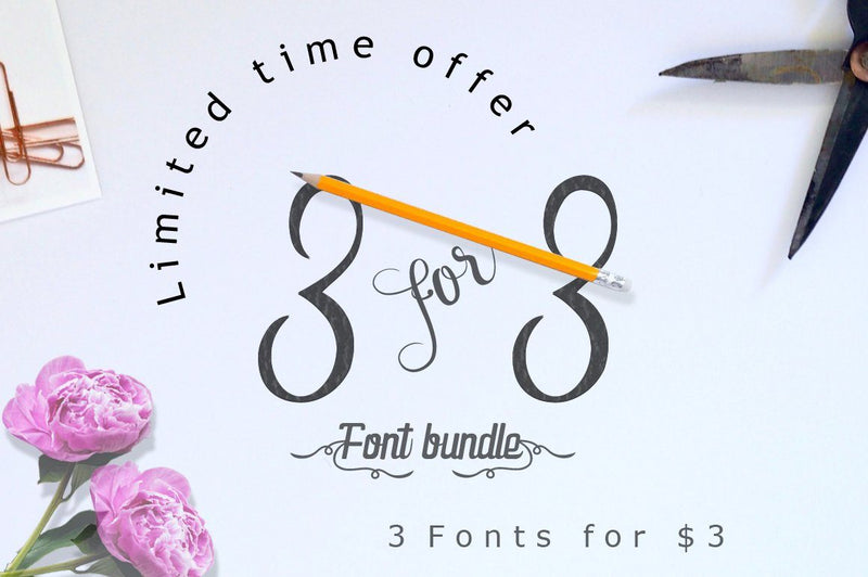 3 for $3 font deal vol.2 Font Leamsign Studio 