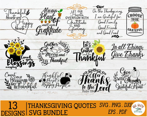 3 in 1 Fall,Halloween & Thanksgiving SVG bundle NEW DESIGNS SVG Redearth and gumtrees 
