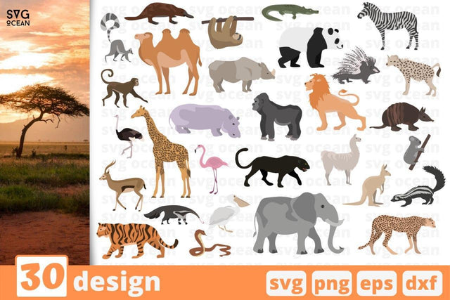 30 African animals designs cricut svg SVG SvgOcean 