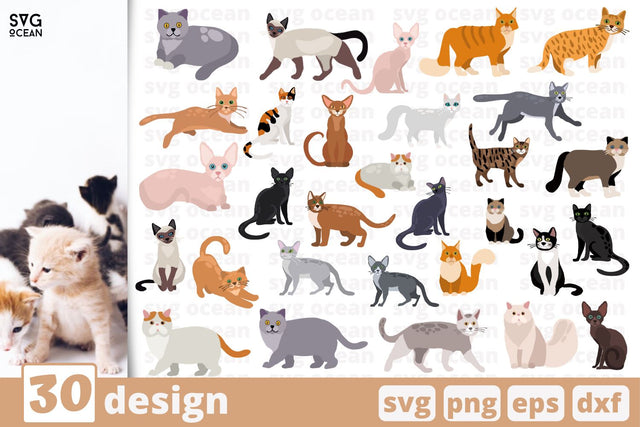 30 Cats designs cricut svg SVG SvgOcean 