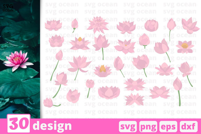 30 Lotus designs cricut svg SVG SvgOcean 