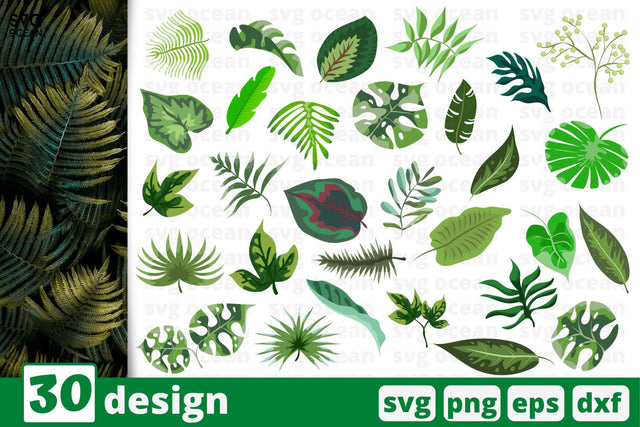 30 Tropical leaves designs cricut svg SVG SvgOcean 