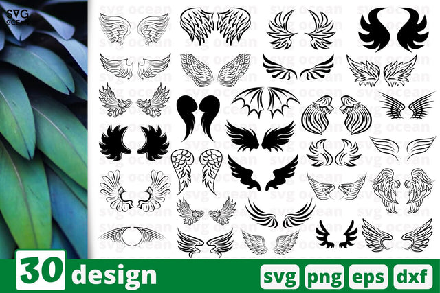 30 Wings designs cricut svg SVG SvgOcean 