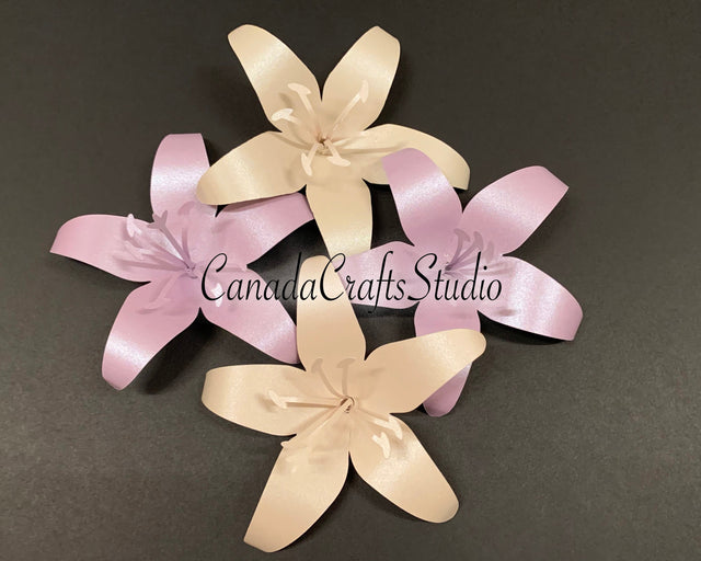 3D Lily SVG and DXF SVG CanadaCraftsStudio 