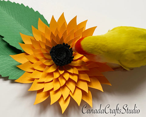 3d Sunflower + Leaf SVG CanadaCraftsStudio 