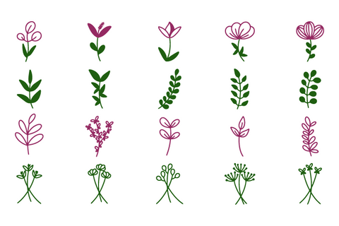 40 beautiful flower clipart SVG Masyafi Studio 