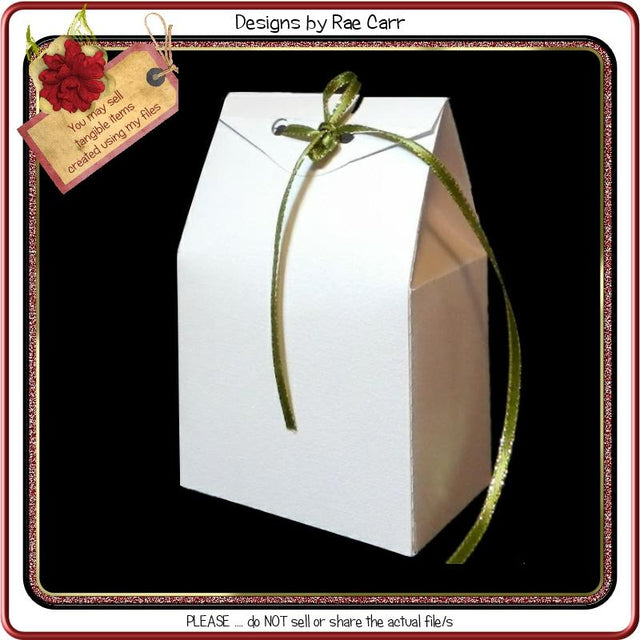 408 Gift Box SVG Designs by Rae 