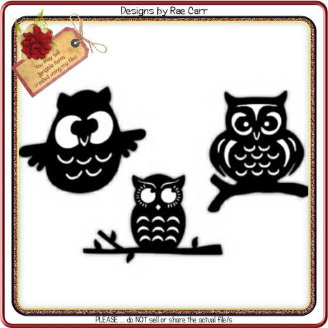 430 Three Little Owls SVG Designs by Rae 