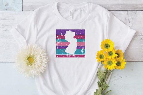 50 States SVG Bundle - Retro Grunge State Cut Files SVG Old Market 