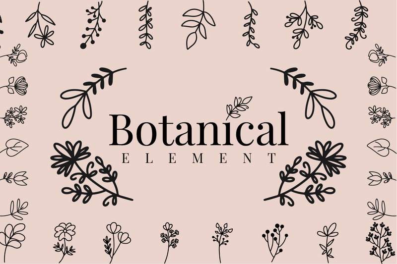 50 Vector Line Art Botanical Elements SVG Masyafi Studio 