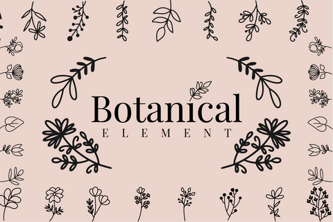 50 Vector Line Art Botanical Elements SVG Masyafi Studio 