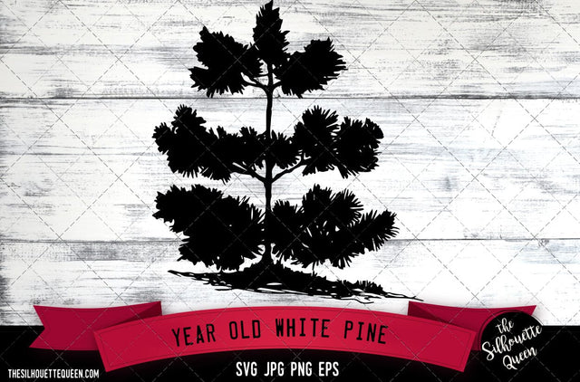 6 Year Old White Pine SVG -Vector Art Commercial & Personal Use- Cricut,Silhouette,Cameo,Vinyl Cut SVG Loveleen Kaur 