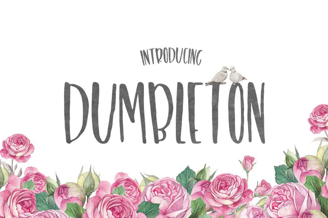 A Dumbleton Font Font Maroon Baboon 