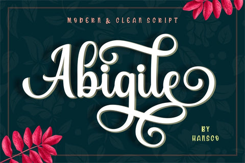 Abigile Font Hans Co 