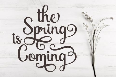 Abigile Font Hans Co 