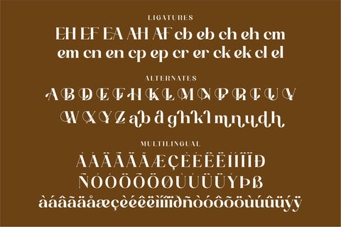 Achemost Typeface Font Storytype Studio 
