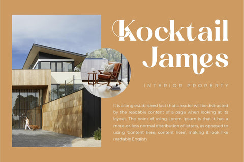 Achemost Typeface Font Storytype Studio 