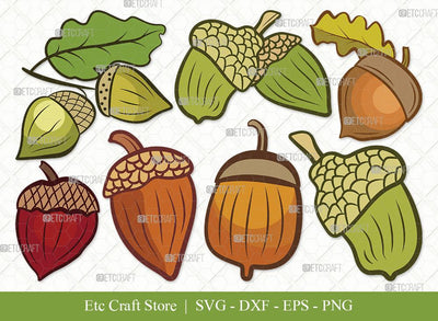 Acorn Clipart SVG Cut File | Fall Svg | Autumn Svg | Oak Svg | Oak leaves Svg | Eps | Dxf | Png | Bundle SVG ETC Craft 