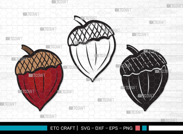 Acorn SVG | Fall Svg | Autumn Svg | Oak Svg | Oak leaves Svg | Acorn Clipart SVG ETC Craft 