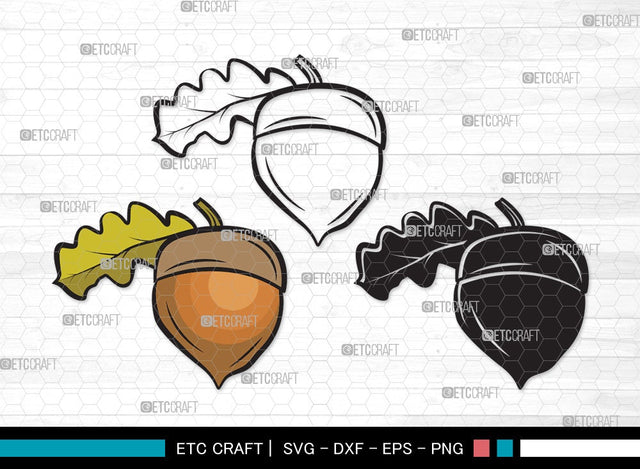 Acorn SVG | Fall Svg | Autumn Svg | Oak Svg | Oak leaves Svg | Acorn Clipart SVG ETC Craft 