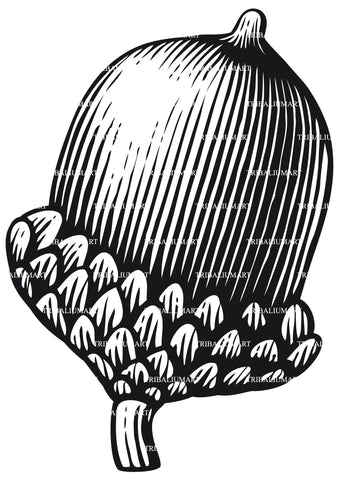 Acorn- vintage engraved vector illustration in hand drawn style SVG TribaliumArtSF 