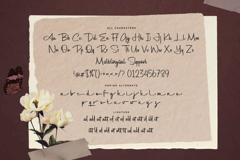 Adelaique Font Allouse.Studio 