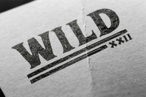 ADELARD - Scratches Font Font Garisman Studio 