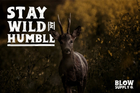 ADELARD - Scratches Font Font Garisman Studio 