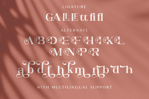 Adibafih - Casual Serif Font Font StringLabs 